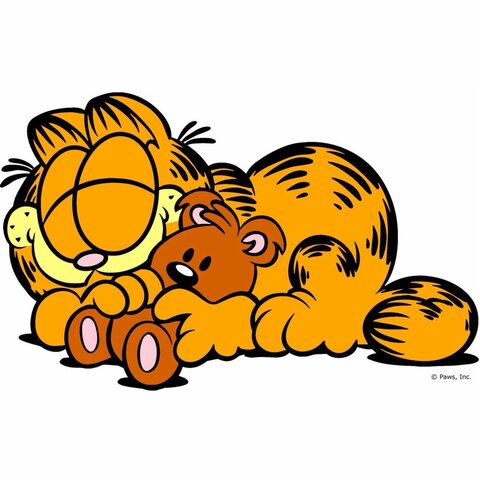 Nace Garfield