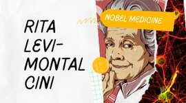 Timeline: NOBEL PRIZE MEDECINE - Rita Levi-Montalcini