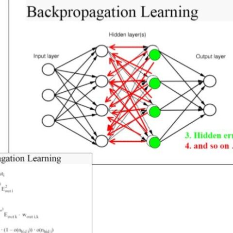 Propagación hacia atrás