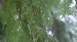 Timeline: Master of Education - Graduating Project