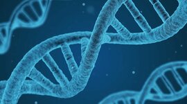 Timeline: Historia de la Biologia Molecular- Ruby Andrea Ruiz Posada