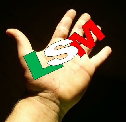 Reconoce la Lengua de Señas Mexicana (LSM), Diario Oficial de la Federación en la Ley General de las Personas con Discapacidad en México.