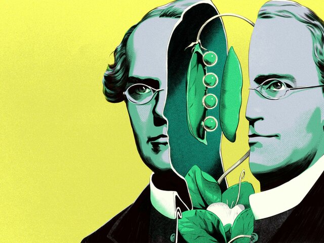 Johann Gregor Mendel