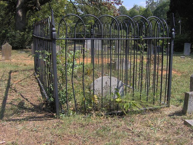 William Forster is buried in Friendsville, TN