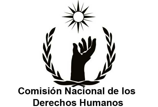Comisión Nacional de Derechos Humanos.