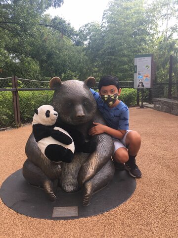 Panda visits in DC