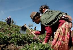 Ley 200 de 1936 (Primer intento de reforma agraria).