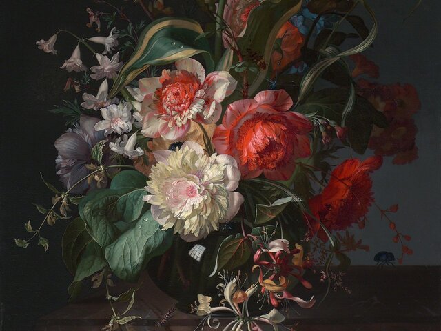 Rachel Ruysch