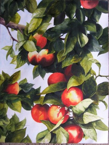 Blood Oranges, Patti Yunker