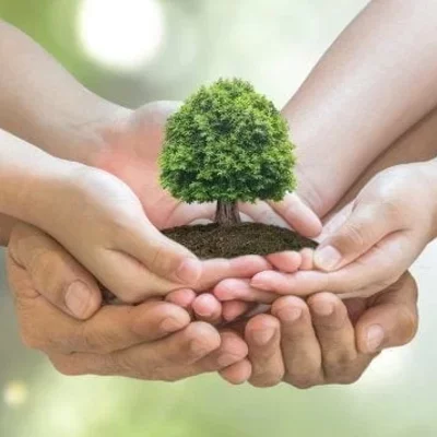 Timeline: Educación ambiental en Colombia