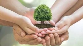 Timeline: Educación ambiental en Colombia