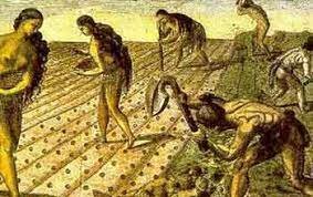 COLONOZACIÓN DE 1550 A 1819.