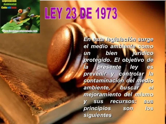 Ley 23 de 1973