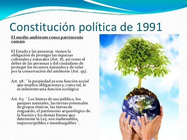 Medio ambiente y  constitución de 19991