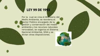 1993 ley 99