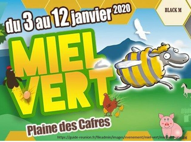 Première édition du festival de "Miel Vert"