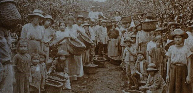 EXPORTACIÓN DE CAFÉ