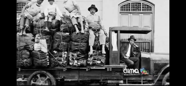 Bonanza cafetera en colombia