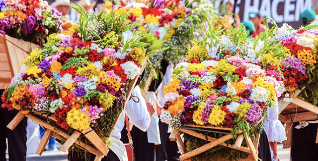 Las flores colombianas se han visto de forma detallada y se ha dicho que son protagonistas de primer orden.