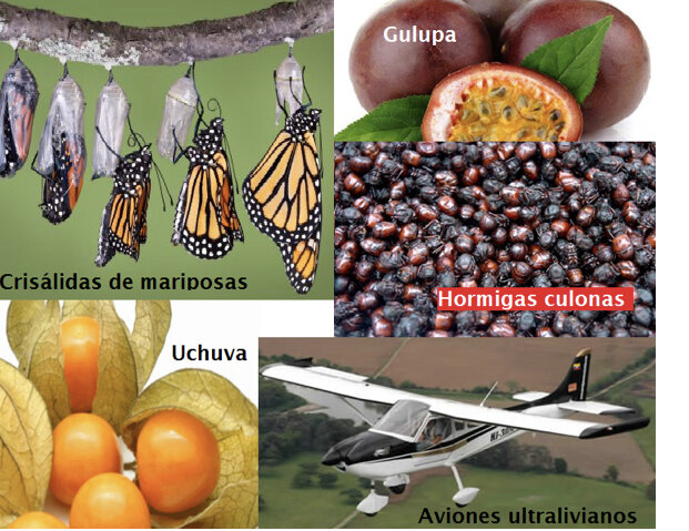 Colombia exporta productos.