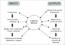 Input y output del conocimiento