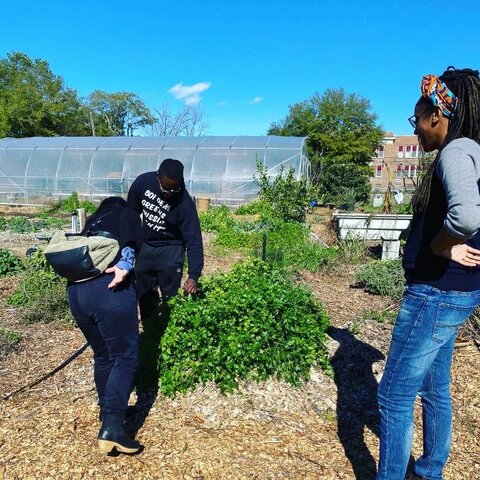 Amplify Learning Visit Charleston