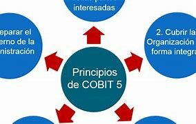 COBIT 5.0