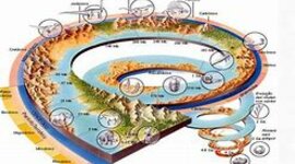 Timeline: História da Terra e da Vida