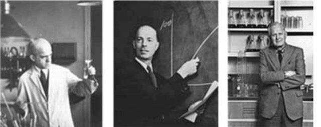 Oswald Theodore Avery, Colin MacLeod y Maclyn McCarty