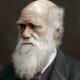 Charlesdarwin 5c2c3d7e46e0fb0001a343e3 (1)