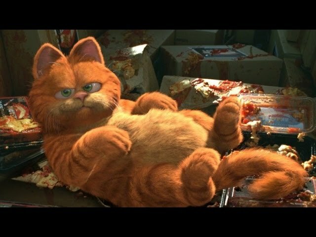 Garfield: La Película