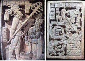 Problemas en la contrucción