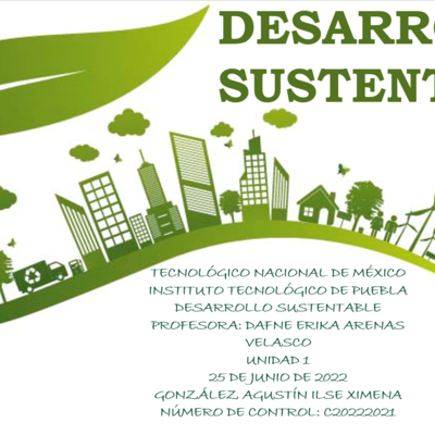 Timeline: DESARROLLO SUSTENTABLE