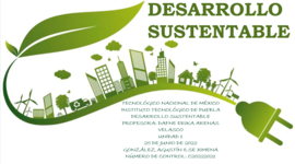 Timeline: DESARROLLO SUSTENTABLE