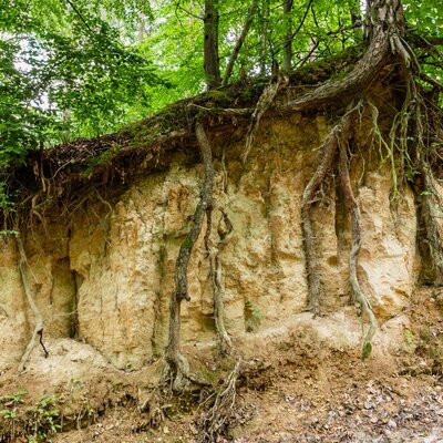 Timeline: Formação das rochas sedimentares