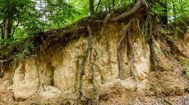 Timeline: Formação das rochas sedimentares