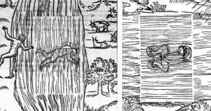 Del Renacimiento al siglo XVIII