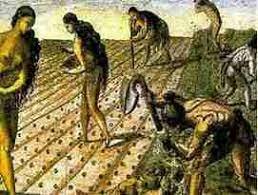 Primer ordenamiento sobre el uso de la tierra y sus recursos en la Nueva España