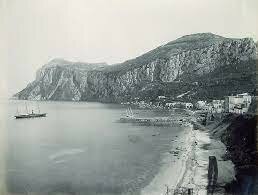 Decreto californiano para la protección de bosques y exportación de madera