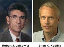 ESTUDIOS EN LOS RECEPTORES ACOPLADOS A PROTEÍNA G