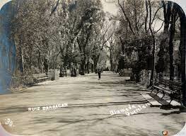 Los beneficios a la salud de las áreas con vegetación