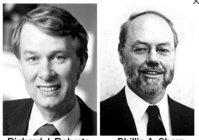 PHILLIP SHARP Y RICHARD ROBERTS