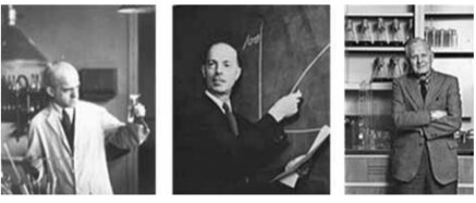 Oswald Theodore Avery, Colín Maclead y Mackly McCarty