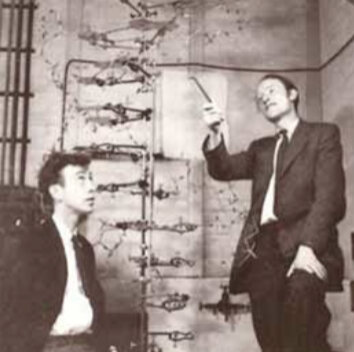 James Dewey Watson y Francis Harry Compton Crick