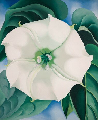 20th Century (United States) - Georgia O’Keeffe (1887 – 1986)