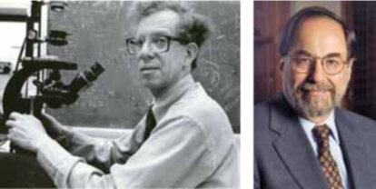 Howard Martin Temin y David Baltimore