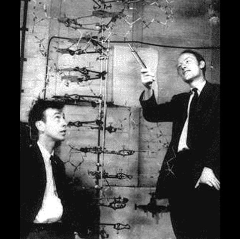 James Dewey Watson  y Francis Harry Compton Crick
