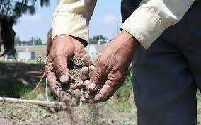 Promulgación de los primeros distritos de conservación del suelo en México