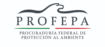 Fundación del INEEC y PROFEPA