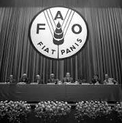 Fundación de la Organización de las Naciones Unidas para la Alimentación y la Agricultura (FAO)